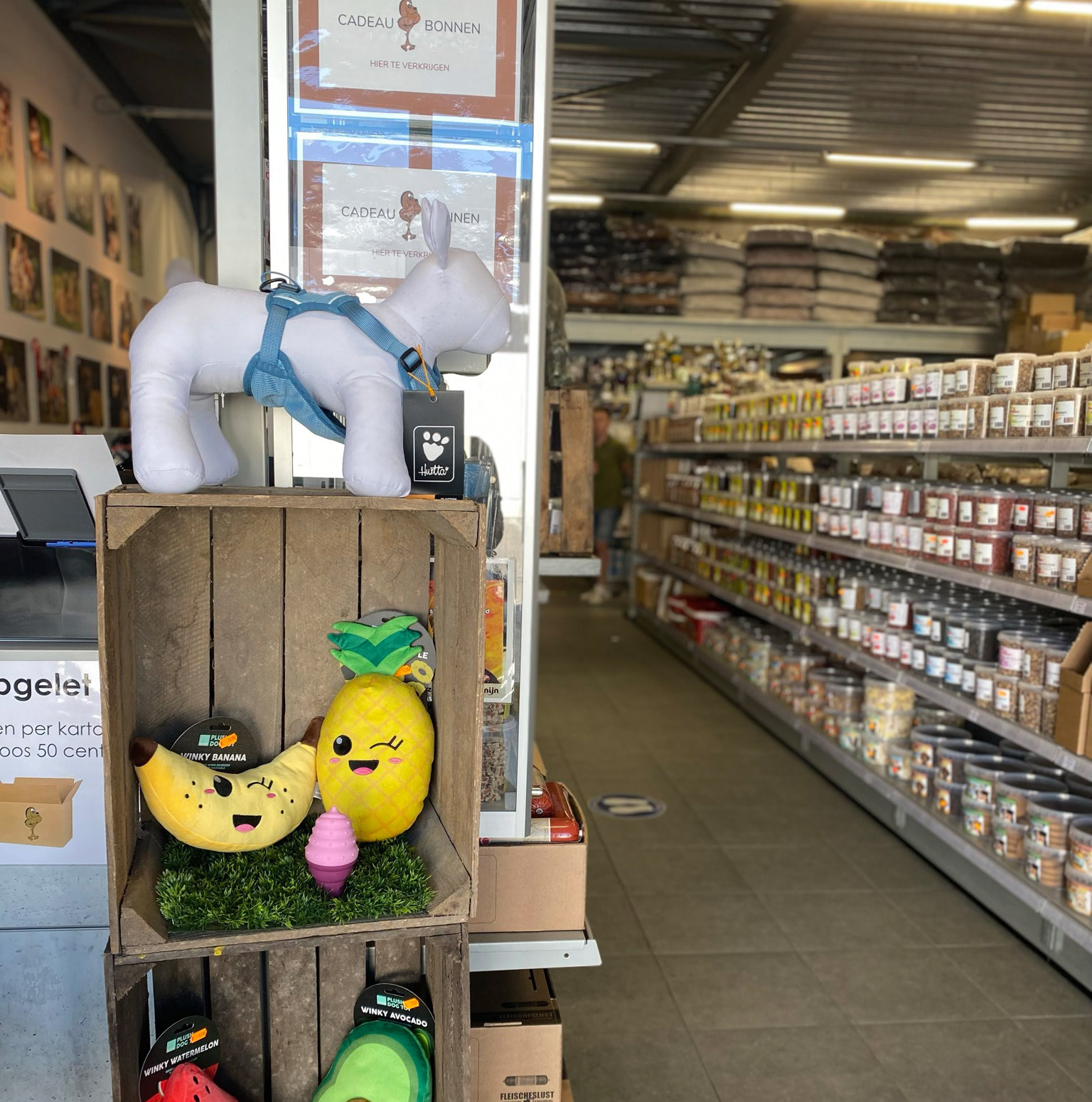 winkel-img-3